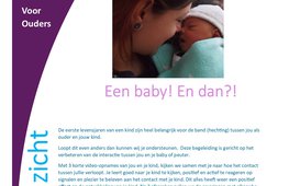 BIZ ermelo